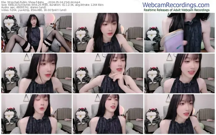 2024/05/04/stripchat-beta___-15-41-44