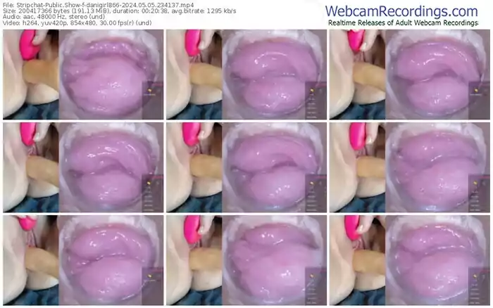 2024/05/05/stripchat-danigirl866-23-41-37