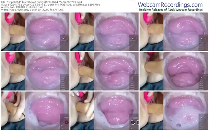 2024/05/06/stripchat-danigirl866-00-37-23