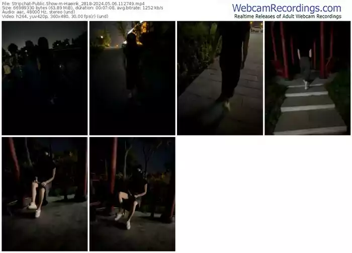 2024/05/06/stripchat-haeink_2818-11-27-49