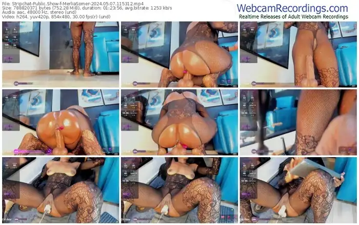 2024/05/07/stripchat-merliasomer-11-53-12