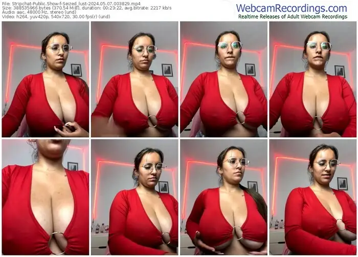 2024/05/07/stripchat-seized_lust-00-38-29