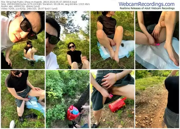 2024/05/07/stripchat-haeink_2818-08-50-16