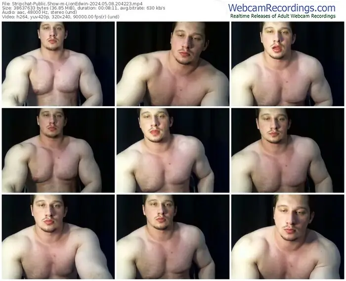 2024/05/08/stripchat-lionedwin-20-42-23