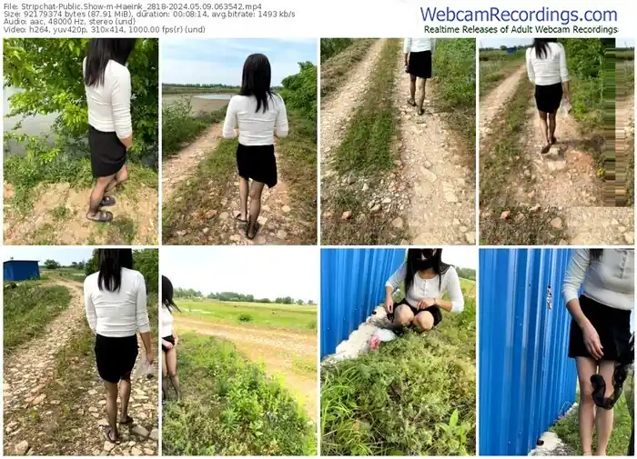 2024/05/09/stripchat-haeink_2818-06-35-42