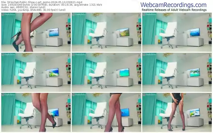 2024/05/10/stripchat-art_porno-03-06-21