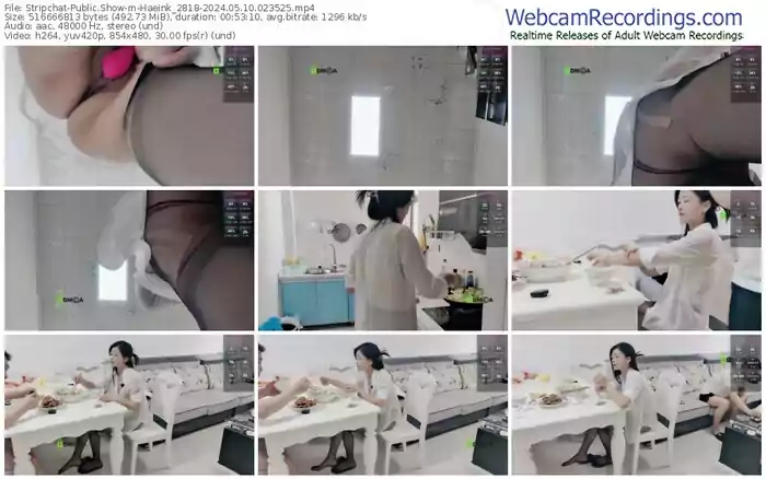 2024/05/10/stripchat-haeink_2818-02-35-25