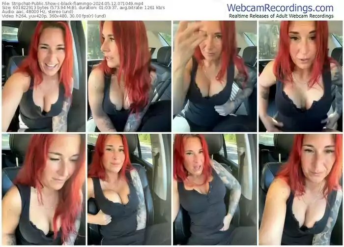 2024/05/12/stripchat-black-flamingo-07-10-49