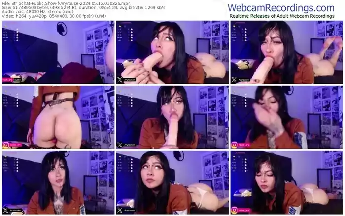 2024/05/12/stripchat-aryrouse-01-03-26