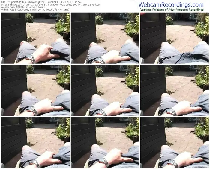2024/05/12/stripchat-jk1981jk-12-11-15