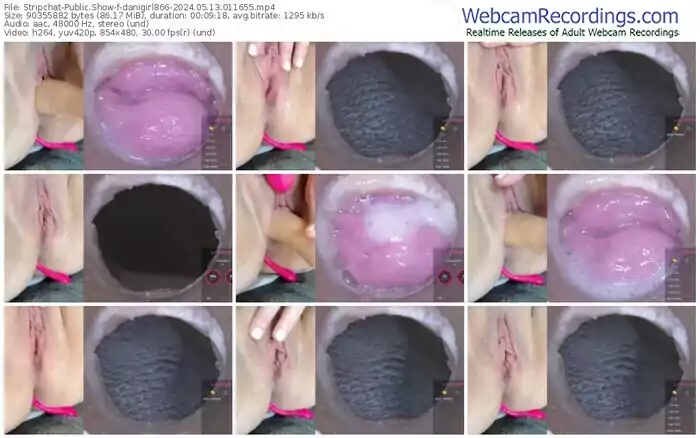 2024/05/13/stripchat-danigirl866-01-16-55