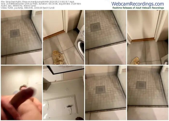 2024/05/13/stripchat-hardyoungdick99-00-13-17