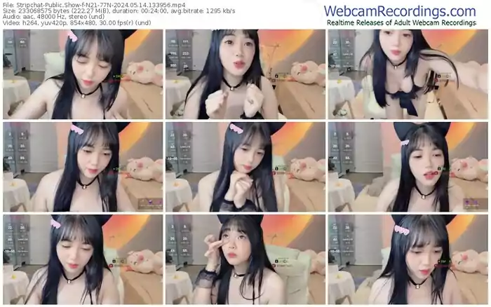 2024/05/14/stripchat-n21-77n-13-39-56