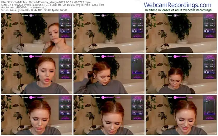 2024/05/14/stripchat-phoenix_margo-07-07-22