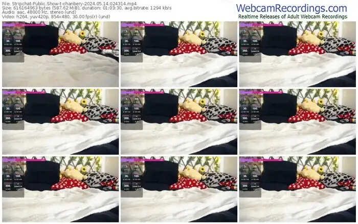 2024/05/14/stripchat-chanbery-02-43-14
