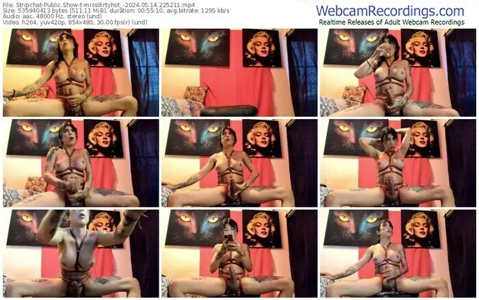 2024/05/14/stripchat-missdirtyhot_-22-52-11