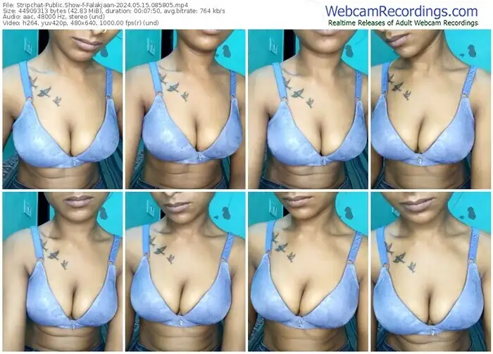 2024/05/15/stripchat-falakjaan-08-58-05