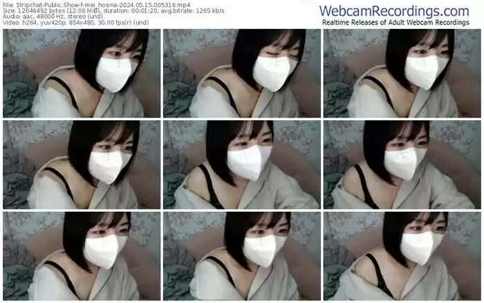 2024/05/15/stripchat-mei_hosina-00-53-16