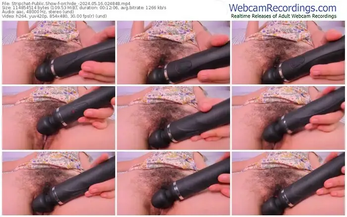 2024/05/16/stripchat-orchide_-02-48-48