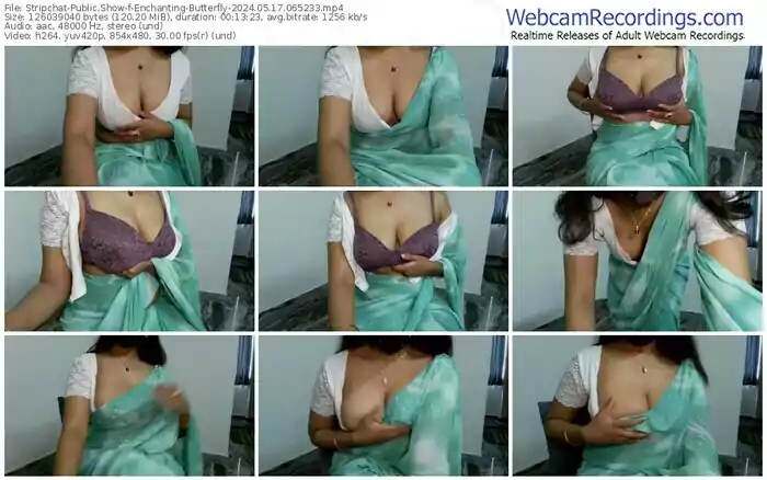 2024/05/17/stripchat-enchanting-butterfly-06-52-33