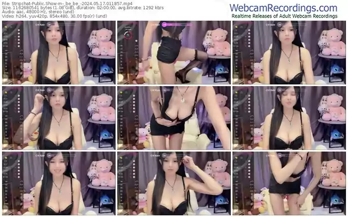 2024/05/17/stripchat-_be_be_-01-18-57