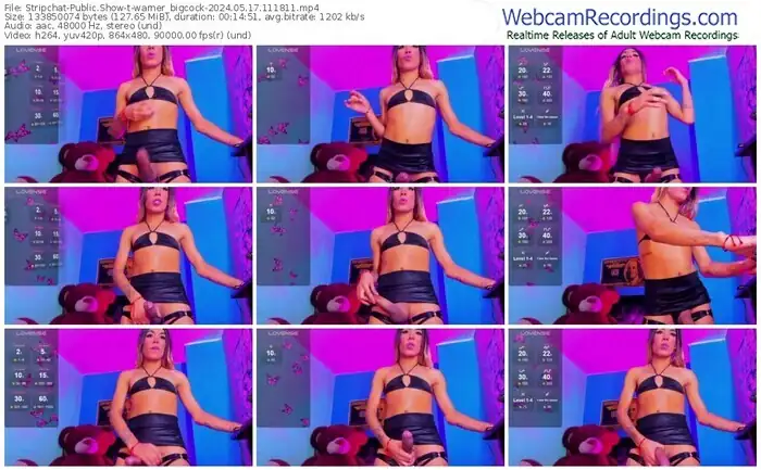 2024/05/17/stripchat-warner_bigcock-11-18-11