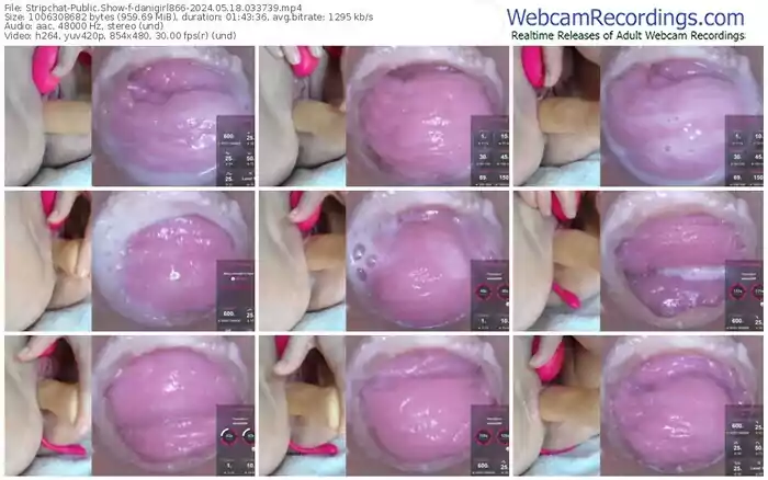 2024/05/18/stripchat-danigirl866-03-37-39