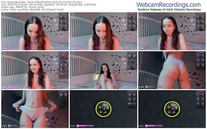 2024/05/20/stripchat-renettolken-02-12-35