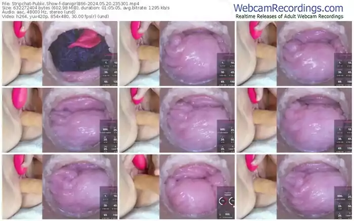 2024/05/20/stripchat-danigirl866-23-53-01