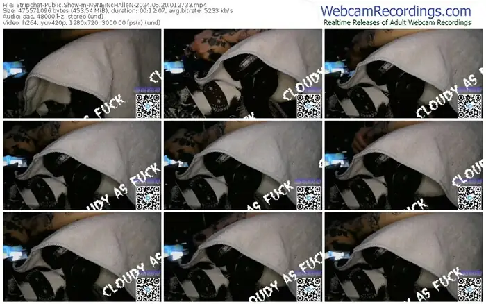 2024/05/20/stripchat-n9neinchallen-01-27-33
