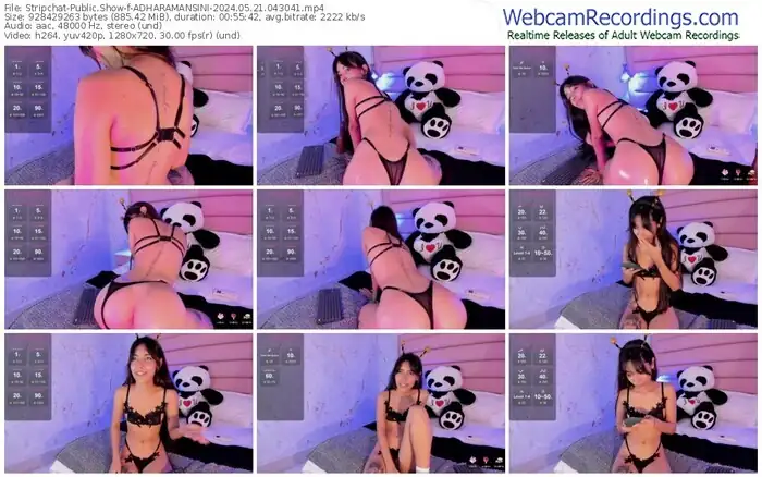 2024/05/21/stripchat-adharamansini-04-30-41