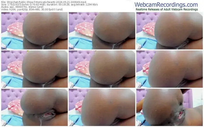2024/05/21/stripchat-monicaschwartz-00-09-49