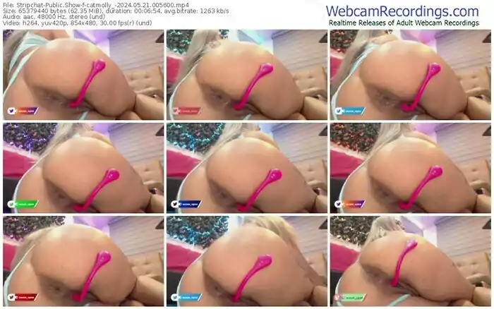 2024/05/21/stripchat-catmolly_-00-56-00