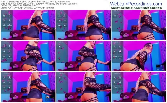 2024/05/21/stripchat-warner_bigcock-09-58-04