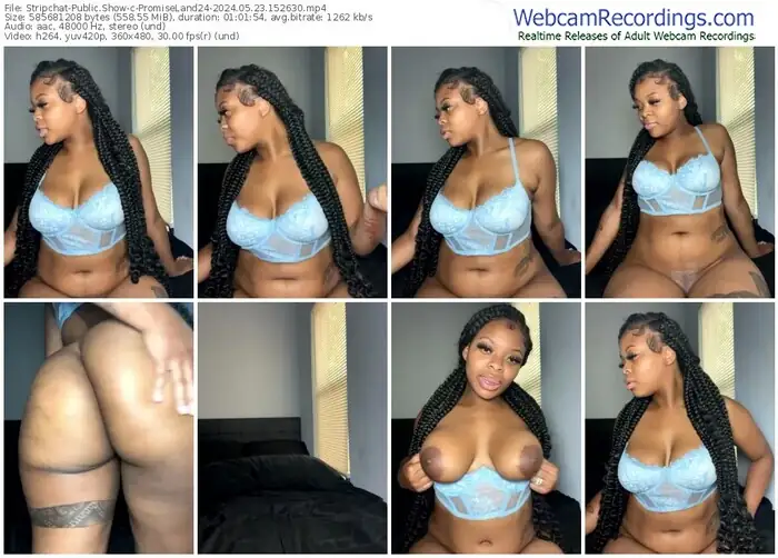 2024/05/23/stripchat-promiseland24-15-26-30