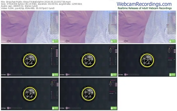 2024/05/23/stripchat-katedolphin-00-17-36