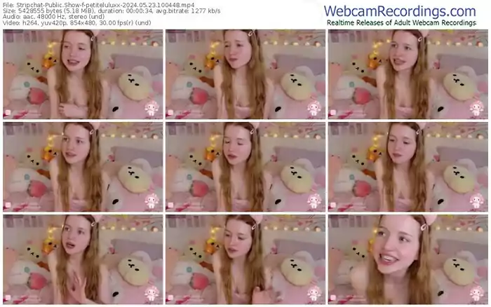 2024/05/23/stripchat-petiteluluxx-10-04-48