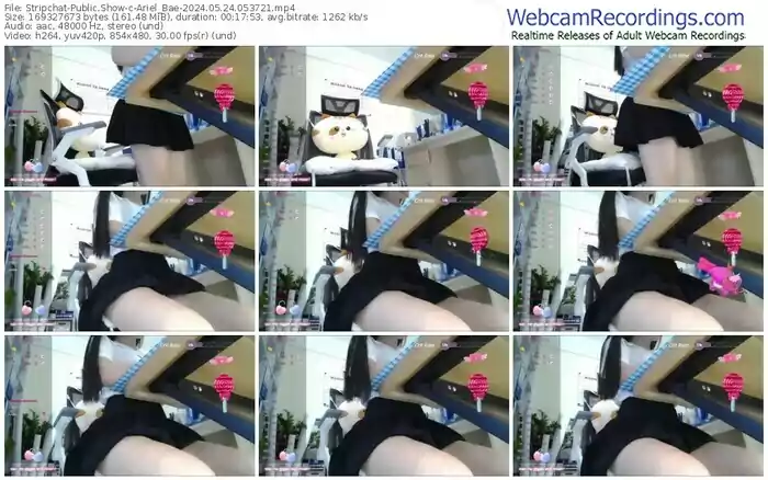2024/05/24/stripchat-ariel_bae-05-37-21