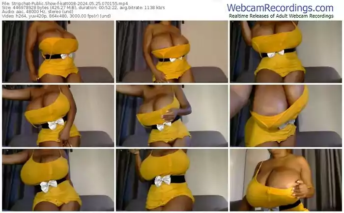 2024/05/25/stripchat-katt008-07-01-55