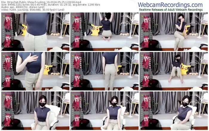 2024/05/25/stripchat-ruoling_19-12-00-36