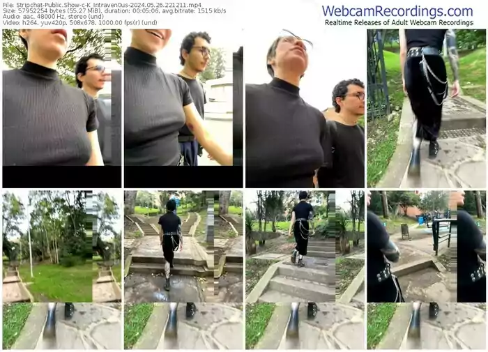 2024/05/26/stripchat-k_intraven0us-22-12-11