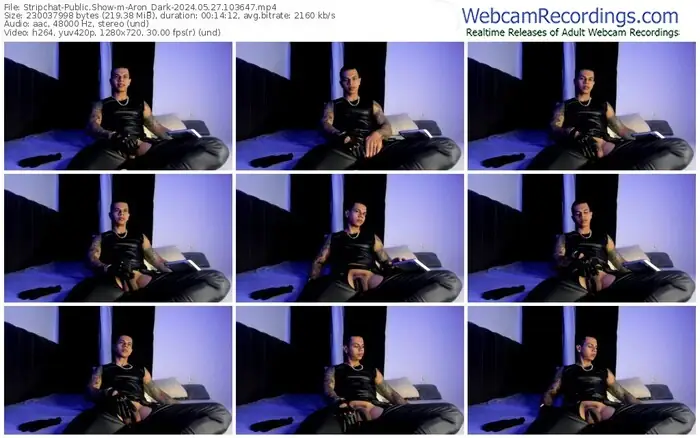 2024/05/27/stripchat-aron_dark-10-36-47