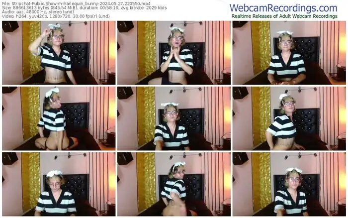 2024/05/27/stripchat-harlequin_bunny-22-05-50