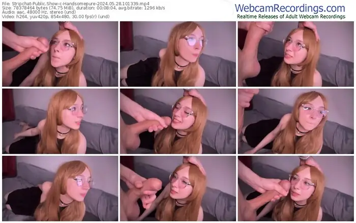 2024/05/28/stripchat-handsomepure-10-13-39