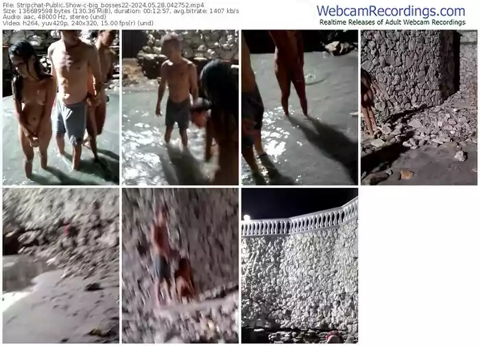 2024/05/28/stripchat-big_bosses22-04-27-52
