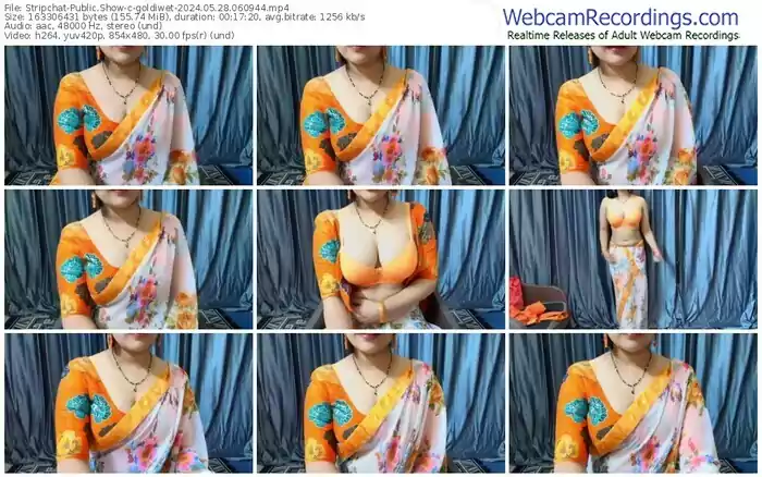 2024/05/28/stripchat-goldiwet-06-09-44