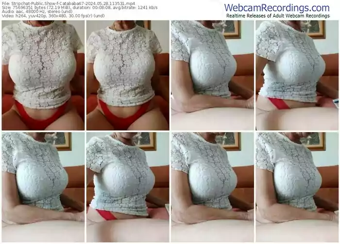 2024/05/28/stripchat-catababa67-11-35-31