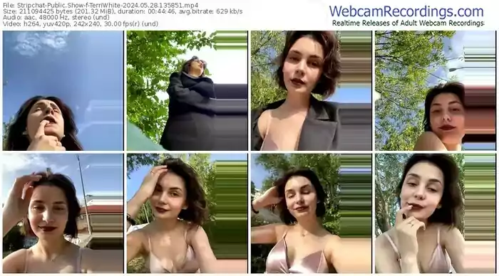 2024/05/28/stripchat-terriwhite-13-58-51