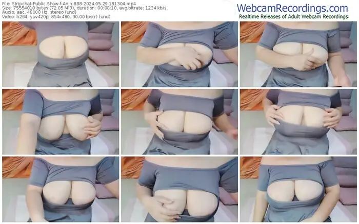 2024/05/29/stripchat-anjn-888-18-13-04