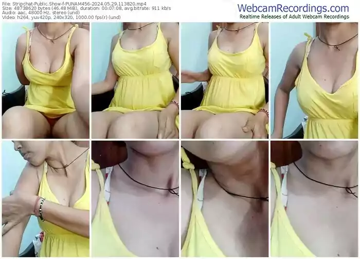 2024/05/29/stripchat-punam456-11-38-20